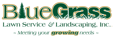 Blue Grass Lawn Care & Landscaping Service