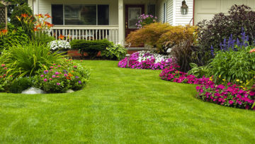 Summer Lawn Mowing Tips
