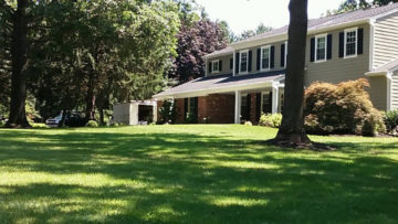 Elevate Your Curb Appeal with Blue Grass Lawn Service
