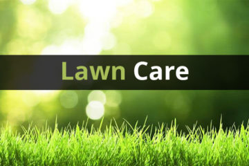 8 Step Lawn Care Program