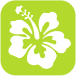 Spring-Icon