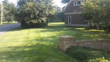 Tree And Shrub Care