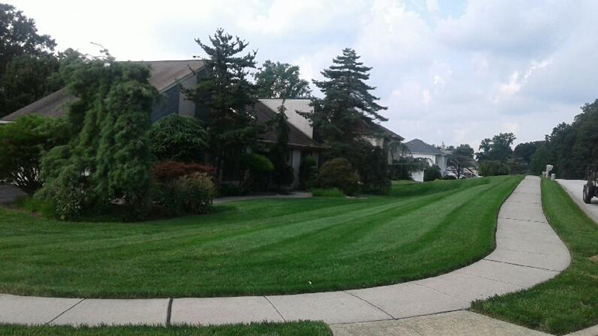 Blue Grass Lawn Care Landscaping Service, Nick’s Lawn And Landscape