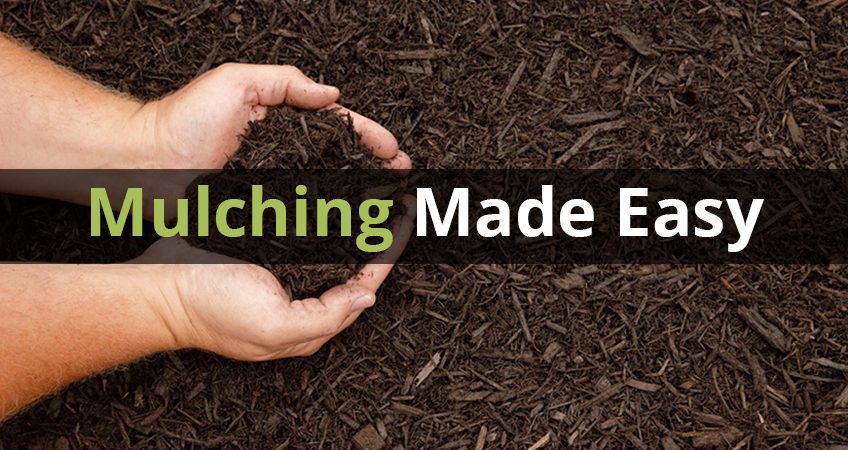 How Much Mulch Should You Order
