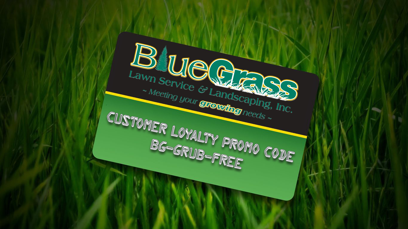 Japanese Beetle & Grub Control Japanese Beetle & Grub Control
