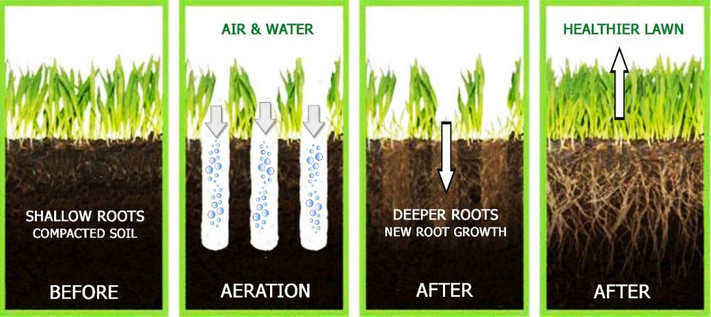 Aeration Explained