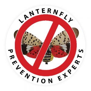 Lanternfly Prevention Experts